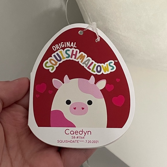 Squishmallows Caedyn 8inch brand new - Picture 2 of 3